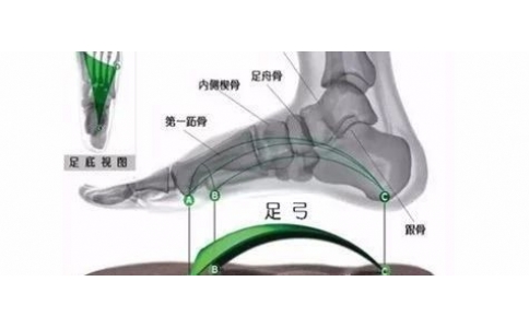 矯形鞋墊為什么可以緩解足部疾??？